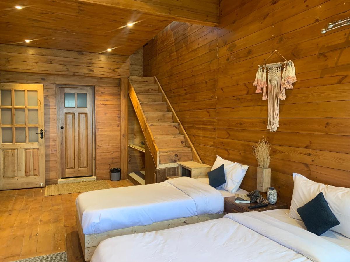 西姆拉 Sugar Cube Retreat旅舍 外观 照片