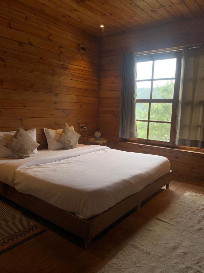 西姆拉 Sugar Cube Retreat旅舍 外观 照片